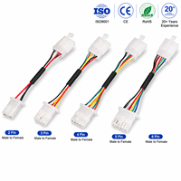 تجميعة أسلاك كهربائية مخصصة بموصلات 2 سن و8 سن من PTFE/PVC/النايلون، كابل كهربائي OEM للسيارات والصناعة