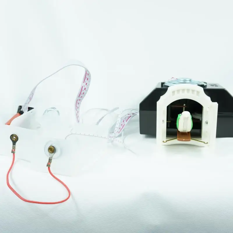 Детали для часов в виде птиц