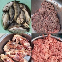 Hachoir à viande électrique fractionnant l'os haché Fracture tranche Machine poisson porc hachoir robot culinaire 3000W viande hachée