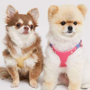 Arnés para Perros de Cuero Premium Transpirable con Forro de Malla, Arnés Acolchado para Pasear Mascotas, para Perros y Gatos, para Paseos en Verano - Product Image 2