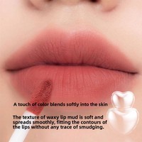 Gloss à lèvres personnalisé MLM en gros, texture mate veloutée, minimise les ridules, résiste à la décoloration, offre une tenue longue durée