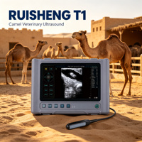 Échographe vétérinaire portable RUISHENG T1 pour chameaux, étanche, avec sonde rectale pour diagnostic de gestation chez les dromedaires