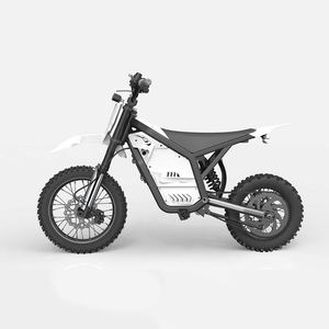 Motocross électrique personnalisé 3000W, pneus avant 14' et arrière 12', frein hydraulique, moto tout-terrain électrique - Product Image 1