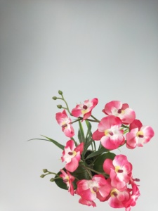 Wangzu <span class=keywords><strong>2022</strong></span> Nuevo Diseño de Arreglo Floral Artificial de Orquídeas con Césped Artificial, Maceta de Cerámica Nórdica, Decoración Moderna para Interiores del Hogar - Product Image 4