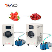 Multifunctionele vriesdroogmachine voor de verwerking van fruit, groenten, vlees en dierenvoer