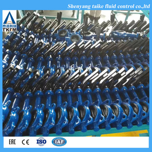 Vanne papillon ANSI 150 à vis sans fin en fonte avec amortisseur, joint wafer, pour eau moyenne, en PTFE, <span class=keywords><strong>coque</strong></span> en acier inoxydable, 25 mm, PN 16 - Product Image 5