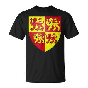 T-shirt avec le blason du Pays de Gal, drapeau souvenir, tee-shirt Cardiff - Product Image 1
