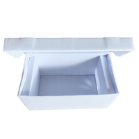 Outils d'apiculture Corflute Nuc Box Ruche d'abeille en plastique Dadant Langstroth Ruche