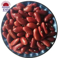 Top selling chinese pinto kidney beans dried/dry red kidney beans