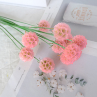 Bunga Scabiosa Kering Alami, Bunga Kincir Angin, Bunga Bintang Abadi, Buket Pernikahan, Dekorasi Rumah, Hari Valentine (Grosir)