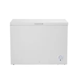Smad 8.7cuft 245L 110V 220V Home Use Frozen Food Chest Freezer