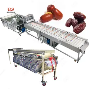 High Quality Saudi Arabia Fruit Dates Size Washing Grading Machine Dates Sorter Palm Dates Sorting Machine