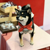 Bandana triangulaire à carreaux pour chiens et chats - Accessoire doux et respirant, vente en gros pour événements festifs