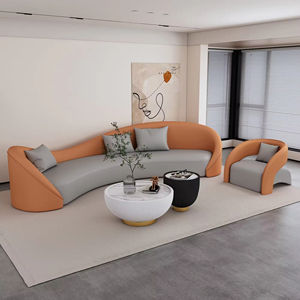 Ensemble de canapés sectionnels incurvés créatifs et simples pour salon, salon de beauté, réception d'hôtel, modèle de célébrité d'Internet, salle de repos, salle de sport - Product Image 2