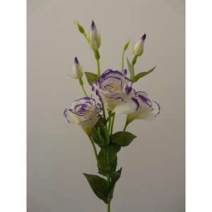 LISIANTHUS SPRAY 80CM CRVI - Product Image 1