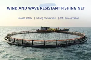 UHMWPE Multifilament Double Selvage Double Fish Safety Nets For Sea Sardine Fishing Net