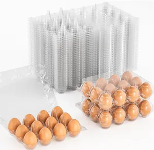 Wholesale Clear PET 12 20 30 Cell Chicken Eggs Packaging Empty Egg Box Trays Flats 12 Grid Plastic Egg Tray