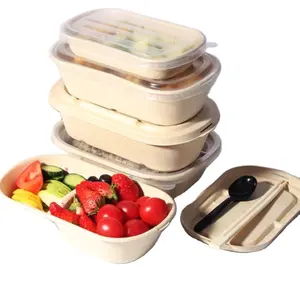 Conteneurs personnalisés recyclage emballage alimentaire shandong boîte à lunch en papier jetable biodégradable avec couvercle