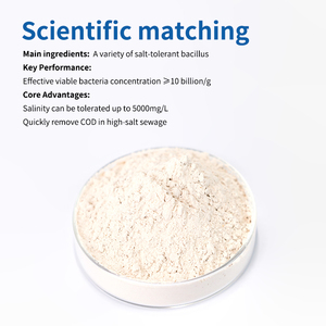 Bactéries tolérantes au sel BioPower600 pour la récupération rapide de l'activité des boues activées dans les eaux usées industrielles à forte teneur en sel, 7 jours - Product Image 2