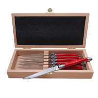 Ensemble de couteaux à steak en acier inoxydable avec manche en plastique de couleur arc-en-ciel, 6 pièces, écologiques, lavables au lave-vaisselle, style Laguiole, couverts de table
