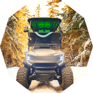 Precio barato al por mayor de fábrica 4000W 2 + 2 asientos 4X4 carrito de golf eléctrico de caza - Product Image 6