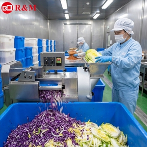 Machine de découpe et de préparation de <span class=keywords><strong>légumes</strong></span> commerciale <span class=keywords><strong>électrique</strong></span> automatique de qualité supérieure pour chou violet, hachoir, trancheuse, <span class=keywords><strong>râpe</strong></span>, coupe-<span class=keywords><strong>légumes</strong></span> et déchiqueteuse - Product Image 1