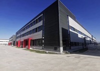 Estructura de Acero Personalizada para Taller, Fábrica, Almacén, Alta Resistencia, Antioxidante, Instalación Rápida