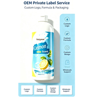 Liquide vaisselle OEM personnalisé à action rapide, parfum citron, 1L, nettoyant cuisine, usage domestique et hôtelier, vente en gros