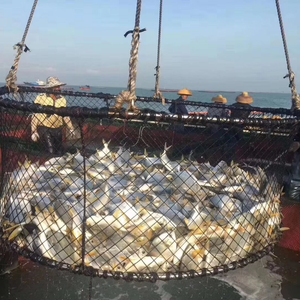 Red de Nailon de Alta Resistencia para Estanques de Peces de 6 m Cuadrados, Totalmente Cubierta, a Prueba de <span class=keywords><strong>Aves</strong></span> y Depredadores, Fácil Mantenimiento - Product Image 6