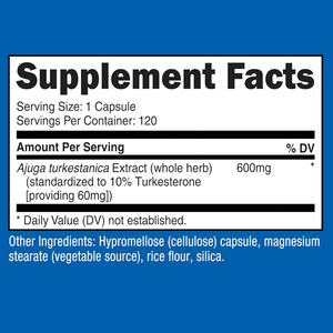 Suplementos a granel Oem personalizado Crecimiento muscular Suplemento dietético Planta pura Ajuga Turkestanica Extracto Turkesterona Cápsulas - Product Image 2