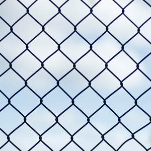 Cerca de Alambre Metálico para Recepción de Boda, Ceremonia al Aire Libre - Product Image 1