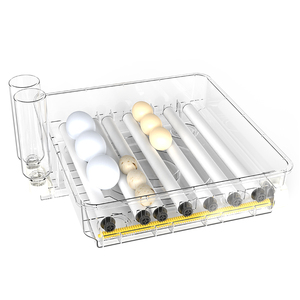 Incubadora de Huevos Profesional Wonegg con Doble Fuente de Alimentación Automática, Diseño TW-72/288, Equipos de Incubación con 110v/220v en Venta - Product Image 4