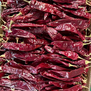 Withstem và <span class=keywords><strong>stemless</strong></span> đỏ khô Paprika Ớt - Product Image 1