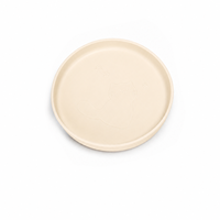 Plaque d'aspiration pour chat