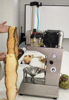 Machine Automatique à Éplucher la Peau de Noix de Coco Verte, Éplucheuse Automatique de Noix de Coco