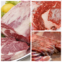 Bloc de viande congelé en acier inoxydable/Chunk Flaker/Machine de découpe de viande de poulet