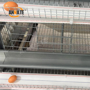 Annilte gia cầm Polypropylene gà trứng vành đai bộ sưu tập vành đai trứng cho trang trại gà - Product Image 3