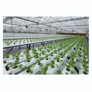 Canal NFT en PVC de système hydroponique de serre de type horizontal pour planter des légumes à feuilles