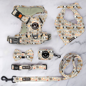 Conjunto de Arnés y Correa de Lujo Ajustable y Personalizado para Perro por Sublimación, Collar para Mascota - Product Image 4