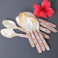 Vente en gros vrac Cuillères à conque à long manche Fleurs brisées roses Louches à caviar en coque naturelle Blingbling Big Mother Pear Mirror