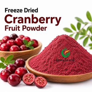 Poudre <span class=keywords><strong>de</strong></span> fruits <span class=keywords><strong>de</strong></span> canneberges lyophilisés, ingrédient <span class=keywords><strong>de</strong></span> qualité alimentaire pour les boissons, les smoothies, les yaourts et la pâtisserie - Product Image 1