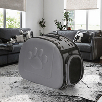 Sac de transport pliable transparent pour chats et petits chiens, sac de voyage respirant avec trous de ventilation, transporteur portable à main