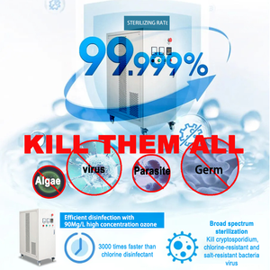 Un generador de ozono digital para piscina de 11000 galones para piscina sobre el suelo - Product Image 2