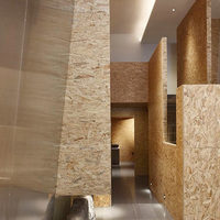 Panneau isolant en bois lamellé orienté (OSB) de première qualité Jiarui pour coffrage et murs en OSB pour la construction intérieure
