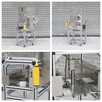 Hoge snelheid commerciële fruitenschiller, citrusschilmachine voor sinaasappel, appel, kiwi, perzik