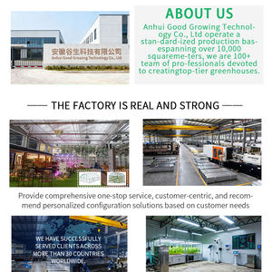 Conteneur de Forage Vert 40HQ/20GP - Solution de Transport Hydroponique pour l'Alimentation Animale et la Production de <span class=keywords><strong>Mini</strong></span>-Légumes - Product Image 5