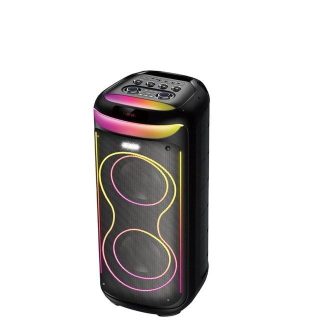 RX-P8Q278 PRO Wholesale Outdoor Portable Wireless LED Speaker Bass100W DJ Karaoke Blue Tooth Speaker Dual 8-Inch