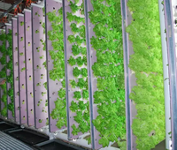 Plateau de germination flottant personnalisé pour l'agriculture hydroponique Microgreen Plateau thermoformé pour le formage sous vide