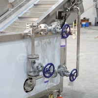 Temperatuurregeling multifunctionele machine voor het blancheren van maïs, fruit, groenten en kokoschips voor kokosvlees/gelei-snacks