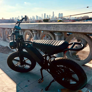 Vélo de montagne électrique le plus vendu en Europe, 250W 750W, vélo électrique pour adultes, V8 Fatbike V20 Pro R002, vélo électrique à pneus larges - Product Image 3